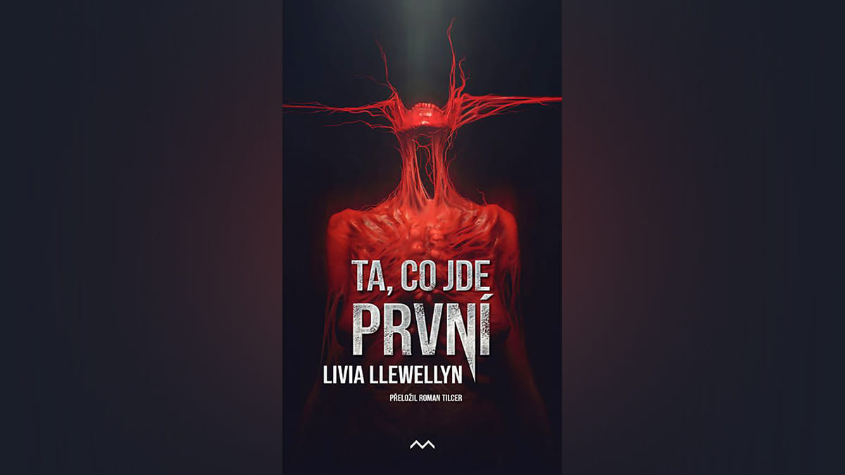 Čtení na dovolenou: Deset tipů, které v&nbsp;horkých dnech zchladí