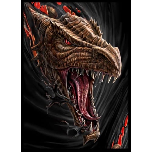 Obaly na karty Dare to Tear 66,5 x 93 mm (MAX protectio) Obaly na karty Dare to Tear 66,5 x 93 mm (MAX protectio)