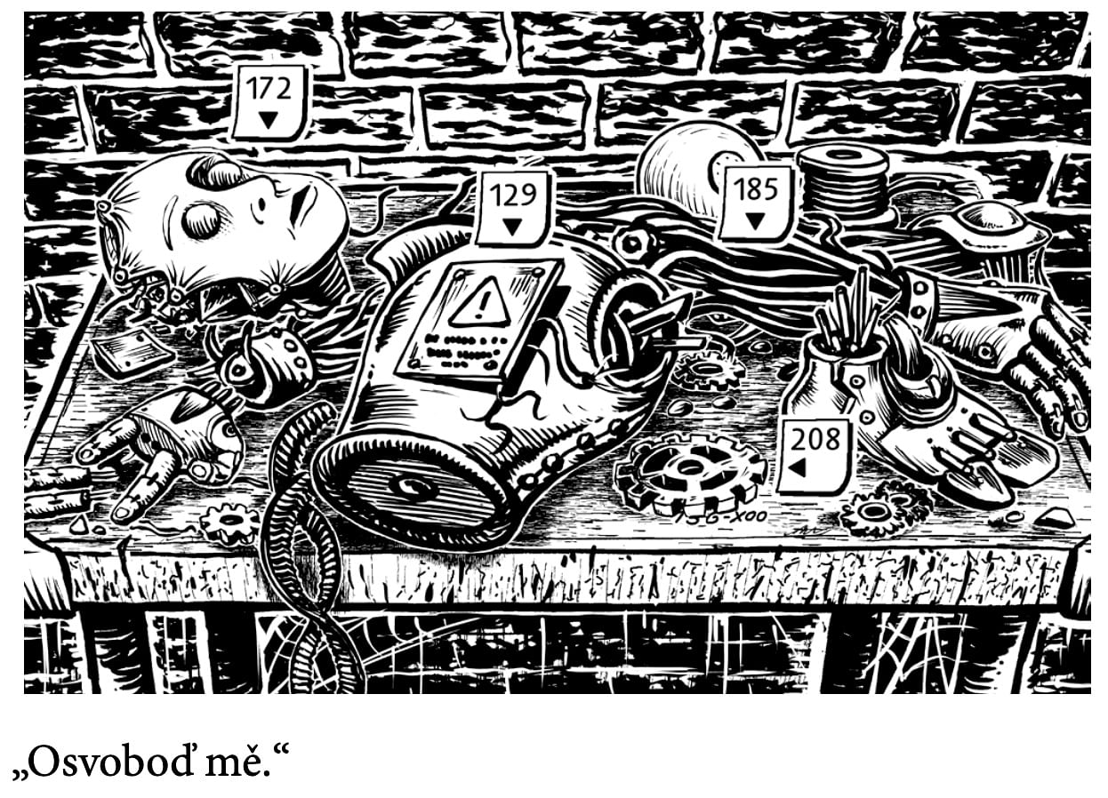 Paulsonova pevnost ilustrace