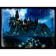 3D puzzle Harry Potter - Rokfortká noc, 500 dielikov