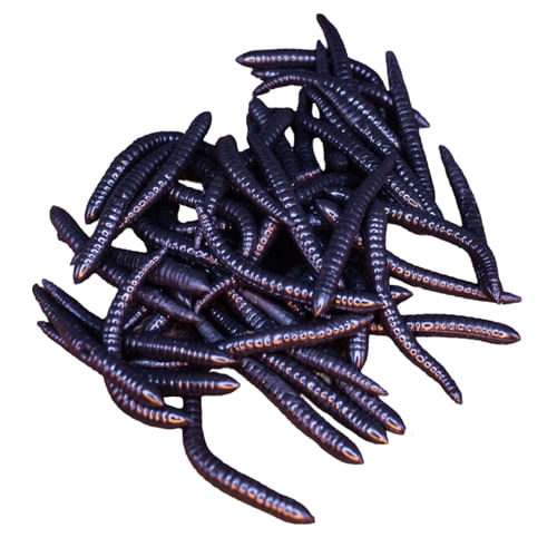 Čierne dážďovky Čierne dážďovky