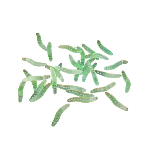 Alchymistická prísada - toxické larvy Alchymistická prísada - toxické larvy