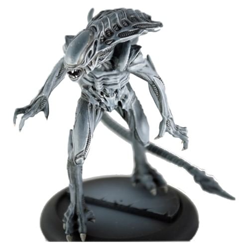 Aliens vs Predator: Alien Royal Guard Aliens vs Predator: Alien Royal Guard