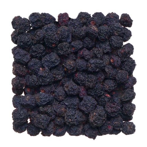 Levně Aronie (Jeřáb černý)