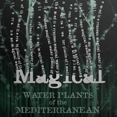 Blahoželanie Harry Potter - Magical Water Plants Blahoželanie Harry Potter - Magical Water Plants