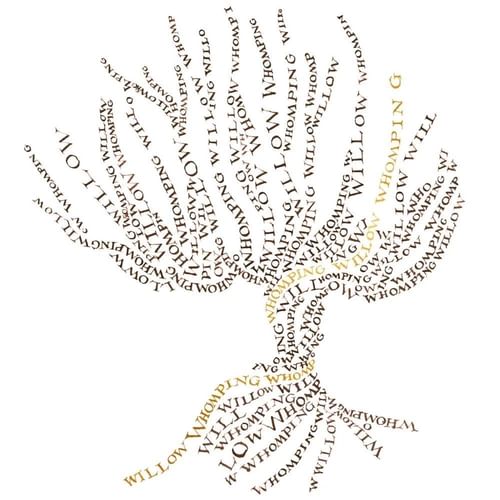 Blahoželanie Harry Potter - Vŕba mlátička Blahoželanie Harry Potter - Vŕba mlátička