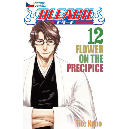Levně Bleach 12 - Flower on the Precipice