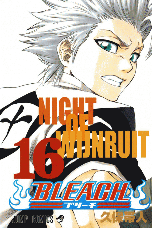 Levně Bleach 16 - Night of Wijnruit