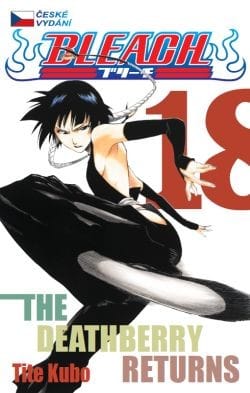 Levně Bleach 18 - The Deathberry Returns