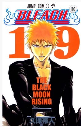 Levně Bleach 19 - The Black Moon Rising