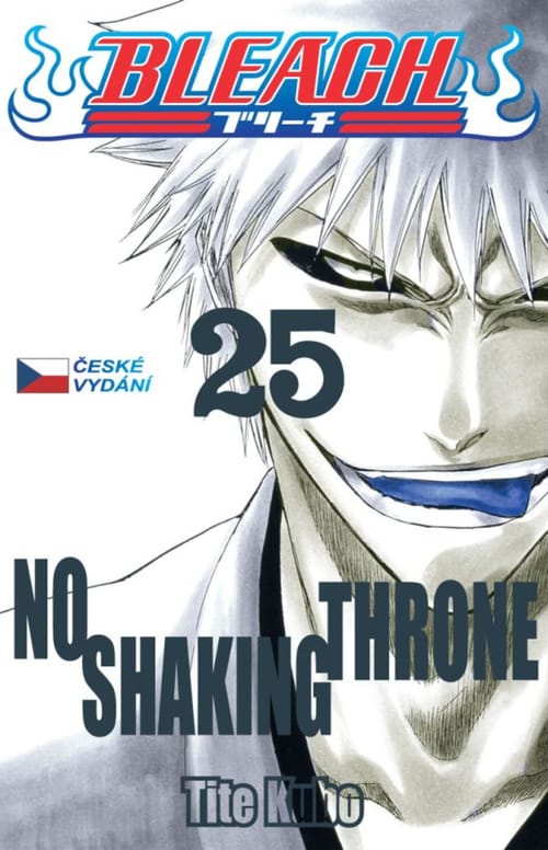 Levně Bleach 25: No Shaking Throne