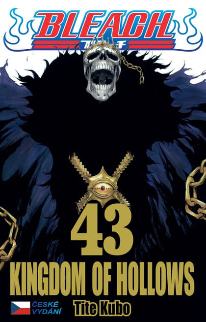 Levně Bleach 43: Kingdom of Hollows