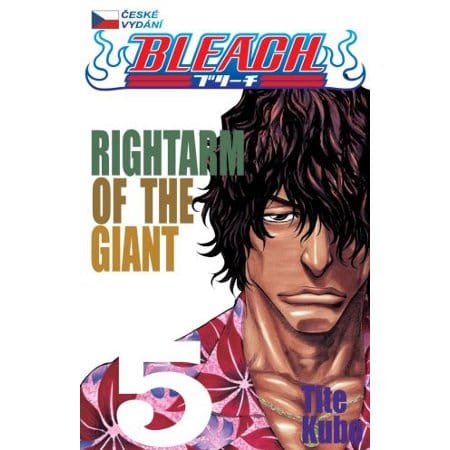 Levně Bleach 5: Rightarm of the Giant