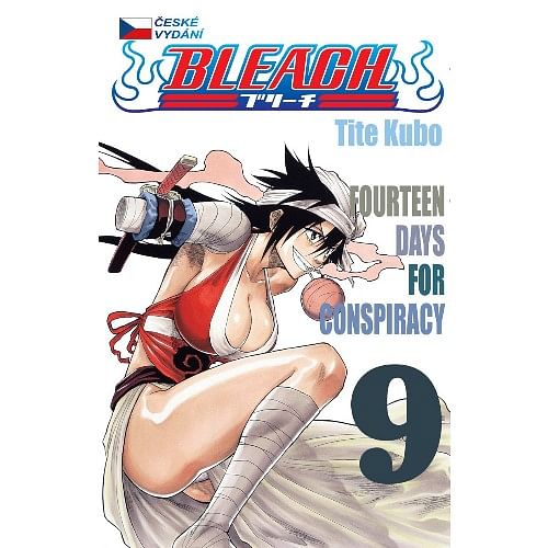 Obrázok Bleach 9 - Tite Kubo