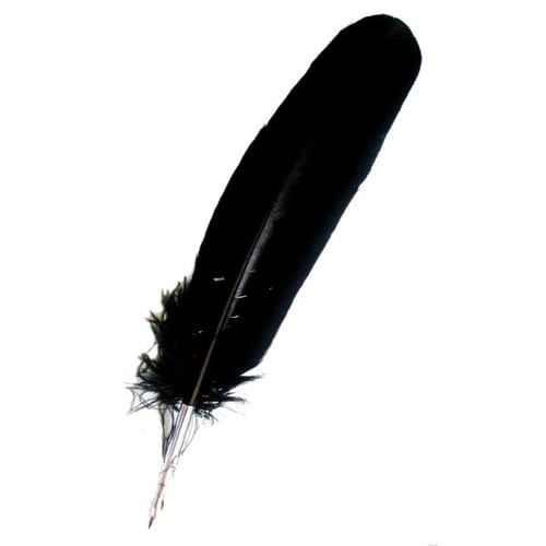 Brk na písanie čierny Brk na písanie čierny