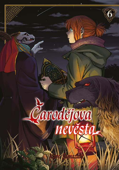 Levně Čarodějova nevěsta 6