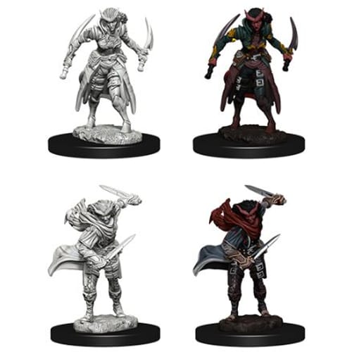 D&D Nolzur Marvelous Minis: Tiefling Female Rogue D&D Nolzur Marvelous Minis: Tiefling Female Rogue