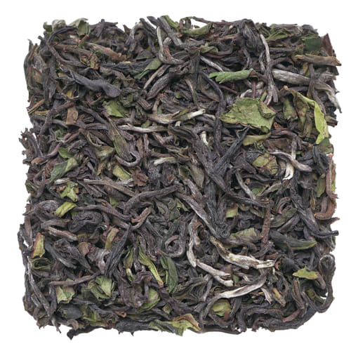 Darjeeling Balasun FF 2022 Darjeeling Balasun FF 2022