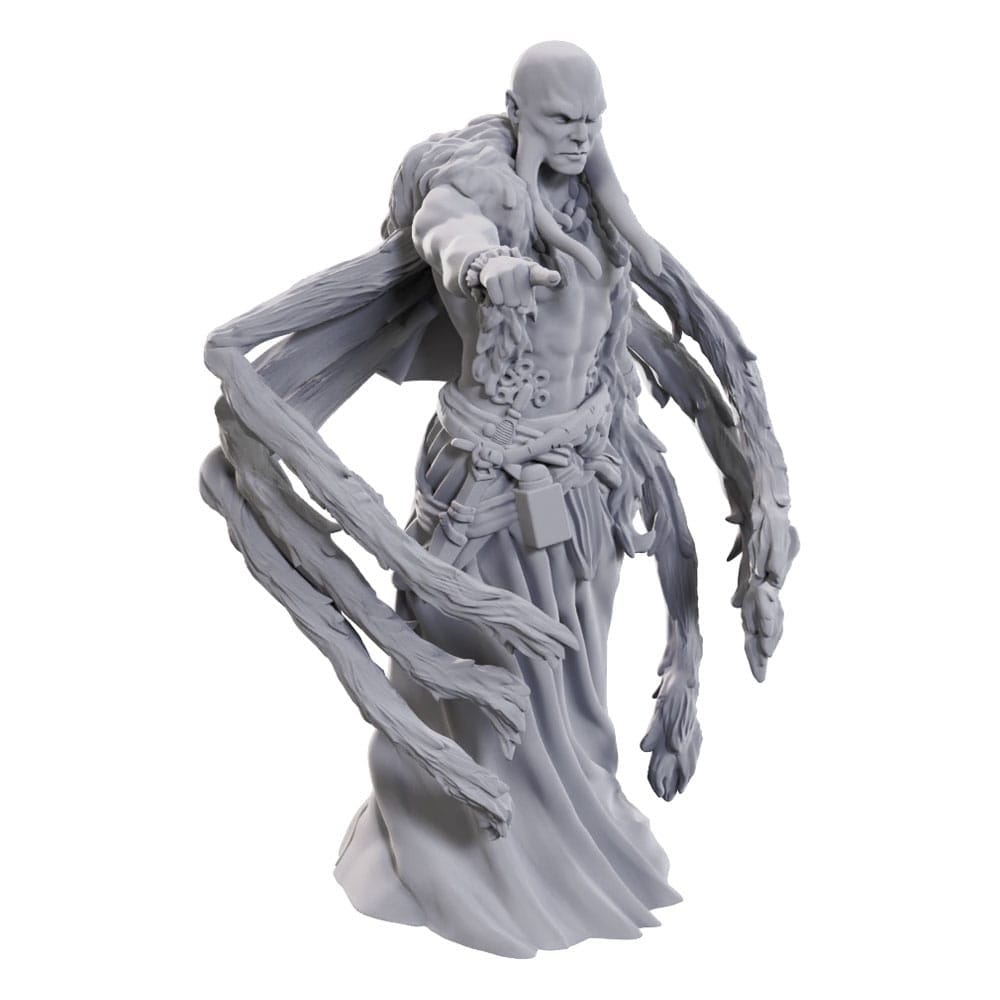 D&D Nolzur's Marvelous Miniatures: Kraken Priest