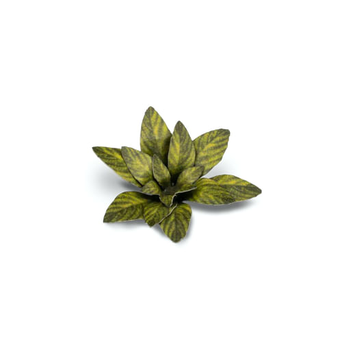 Dekorácia GamersGrass: Laser Plants - Dumb Cane Dekorácia GamersGrass: Laser Plants - Dumb Cane