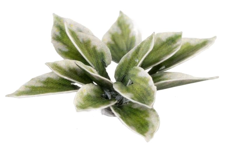 Dekorace GamersGrass: Laser Plants - Plantain Lily Dekorace GamersGrass: Laser Plants - Plantain Lily