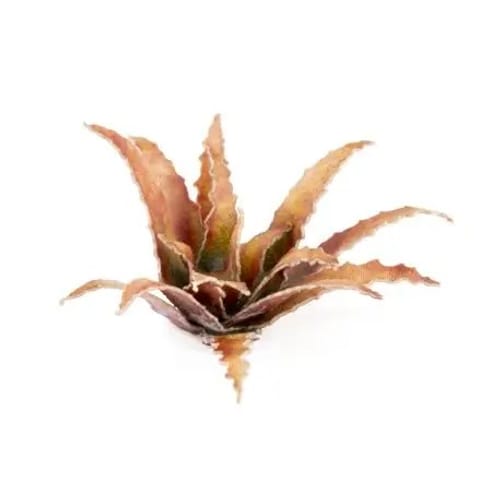 Dekorace GamersGrass: Laser Plants - Red Aloe Dekorace GamersGrass: Laser Plants - Red Aloe
