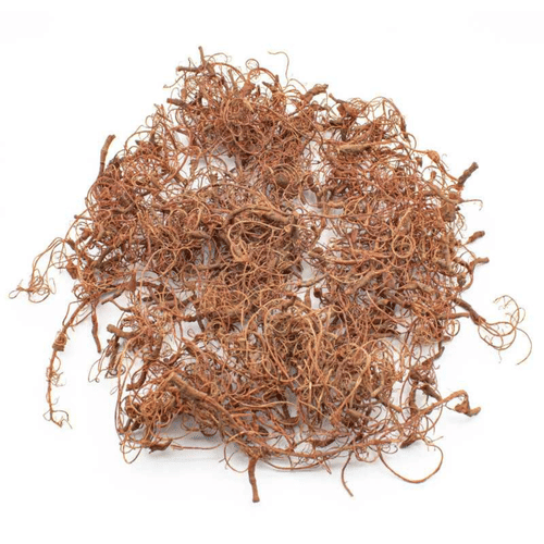 Dekorácia Green Stuff World - Diorama Tree Roots Dekorácia Green Stuff World - Diorama Tree Roots