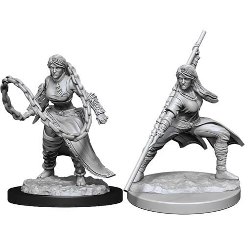 Dungeon & Dragons Nolzur Marvelous Miniatures - Human Monk Female Dungeon & Dragons Nolzur Marvelous Miniatures - Human Monk Female