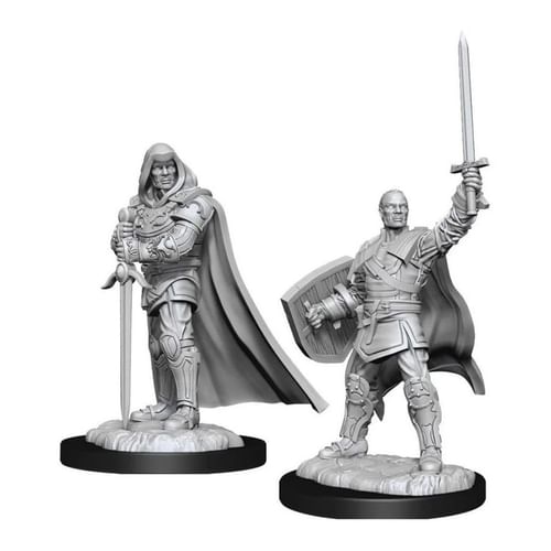 Dungeon & Dragons Nolzur's Marvelous Miniatures - Human Paladin Male Dungeon & Dragons Nolzur's Marvelous Miniatures - Human Paladin Male