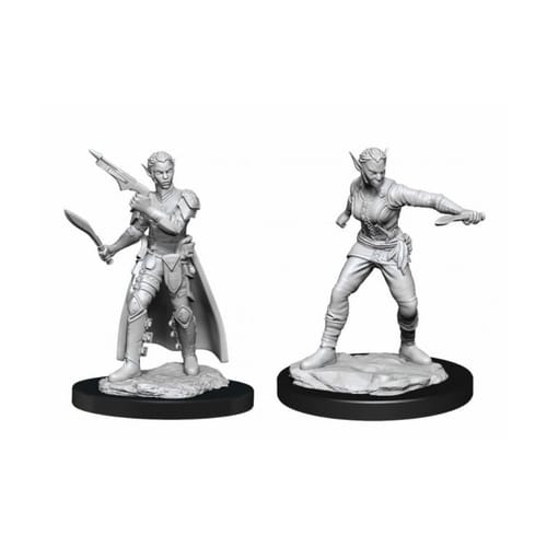 Dungeons & Dragons Nolzur's Marvelous Miniatures - Shifter Rogue Female Dungeons & Dragons Nolzur's Marvelous Miniatures - Shifter Rogue Female