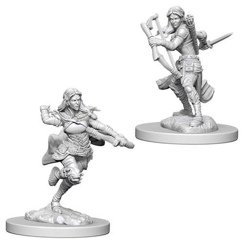 Dungeons & Dragons: Nolzur Miniatures - Air Genasi Female Rogue Dungeons & Dragons: Nolzur Miniatures - Air Genasi Female Rogue