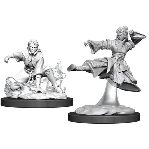 Dungeons & Dragons: Nolzur's Miniatures - Female Human Monk Dungeons & Dragons: Nolzur's Miniatures - Female Human Monk