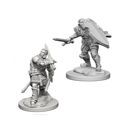 Dungeons & Dragons: Nolzur's Miniatures - Human Male Paladin Dungeons & Dragons: Nolzur's Miniatures - Human Male Paladin