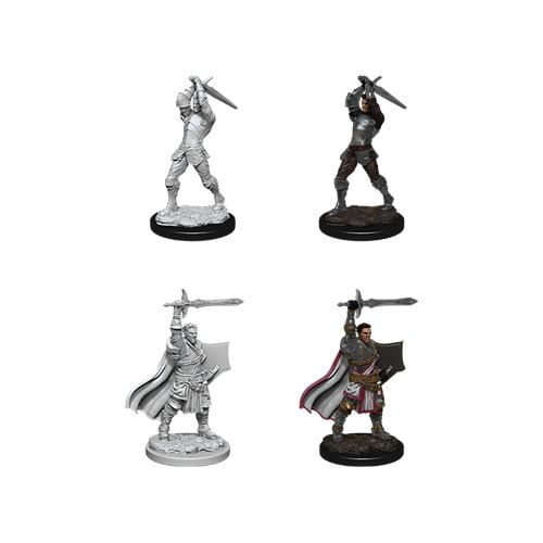 Dungeons & Dragons: Nolzur's Miniatures - Male Human Paladin Dungeons & Dragons: Nolzur's Miniatures - Male Human Paladin