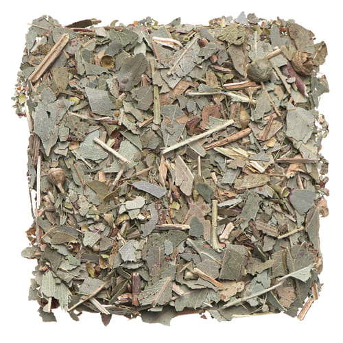 Eukalyptus Eukalyptus