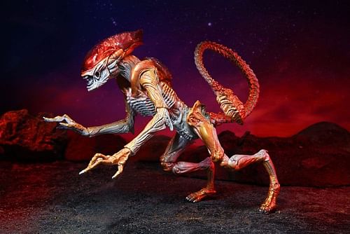 Obrázok Neca Figurka Alien - Panther Alien (Kenner Tribute)