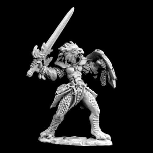 Figúrka paladina Na'Kaat, poldraka Figúrka paladina Na'Kaat, poldraka