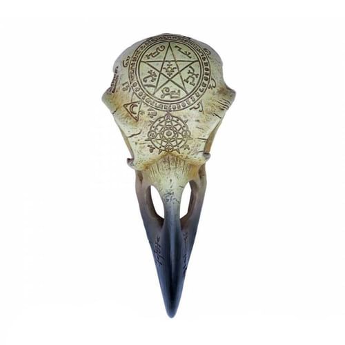 Havrania lebka Omega Havrania lebka Omega