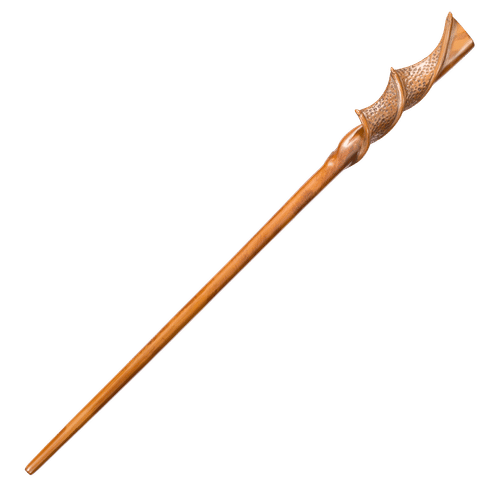 Hůlka Parvati Patilové