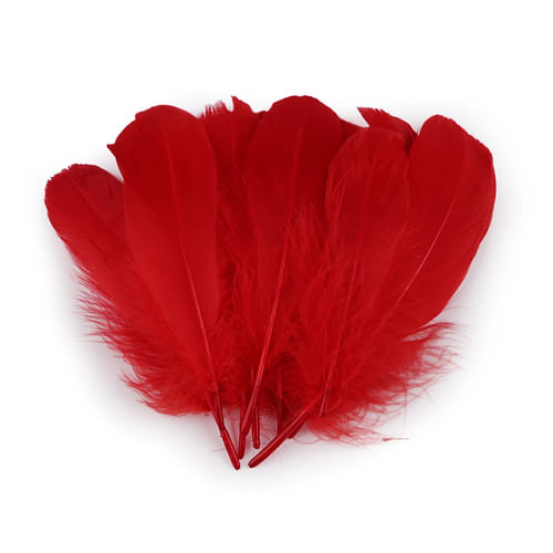 Husacie pierka Husacie pierka