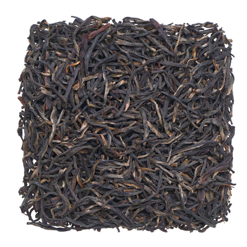 Imenti Extra Tippy OP1 - február 2022 Imenti Extra Tippy OP1 - február 2022