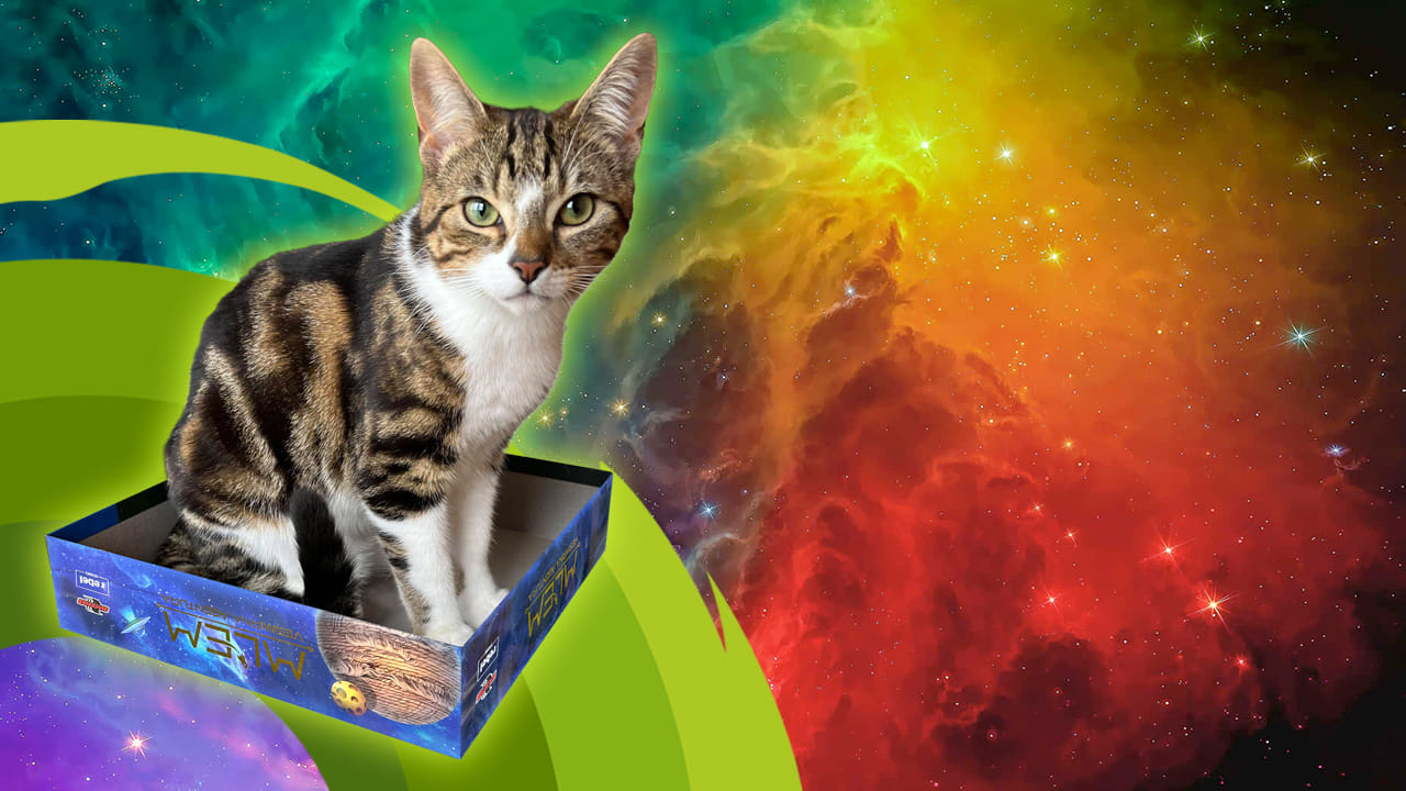 Kočkohrátky: tipy na deskovky s kočičí tematikou