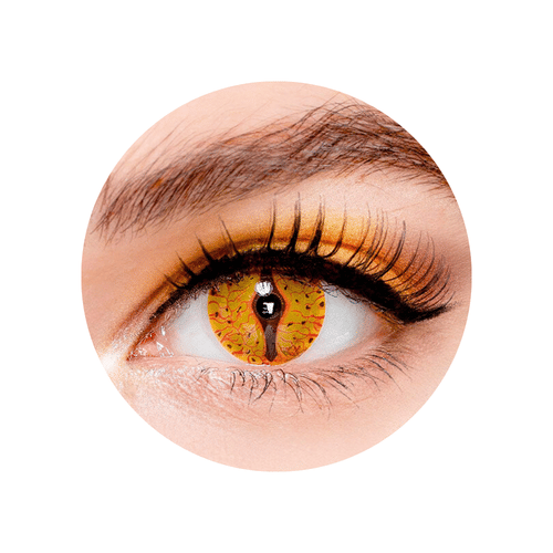 Kontaktné šošovky Jašter - nedioptrické ročné (2 šošovky) Kontaktné šošovky Jašter - nedioptrické ročné (2 šošovky)