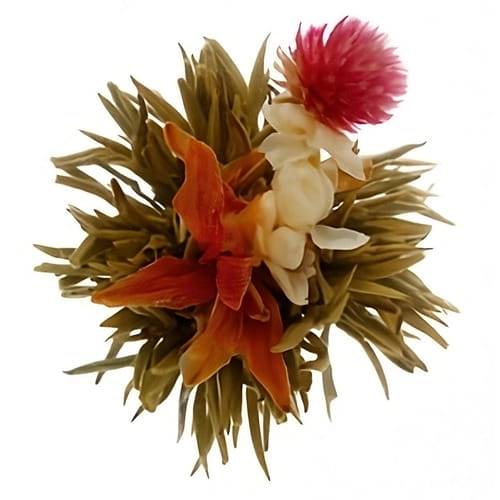 Kvitnúci čaj: Božská ľalia (Bai He Xian Zi) Kvitnúci čaj: Božská ľalia (Bai He Xian Zi)