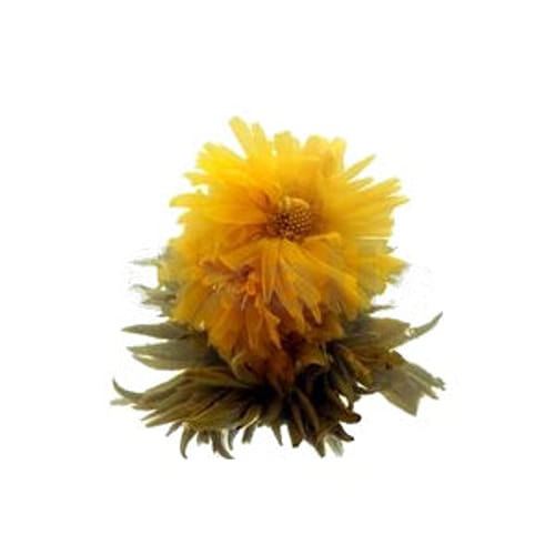 Kvitnúci čaj: lákavé vyhliadky Kvitnúci čaj: lákavé vyhliadky