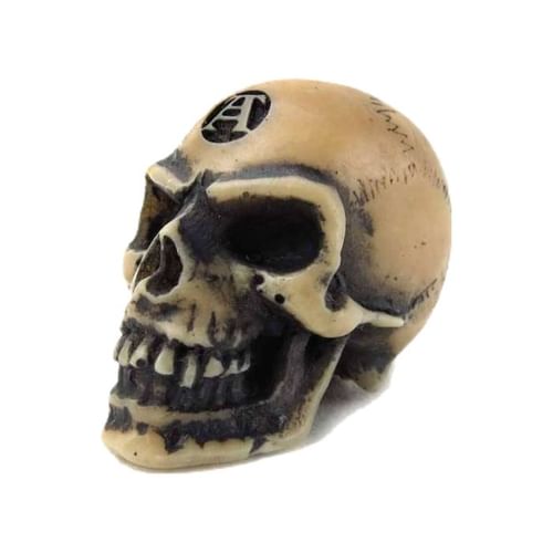 Lebka Lapillus Worry Lebka Lapillus Worry