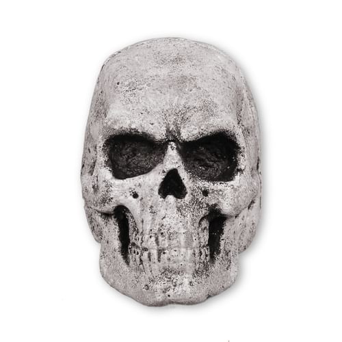 Lebka malá Lebka malá