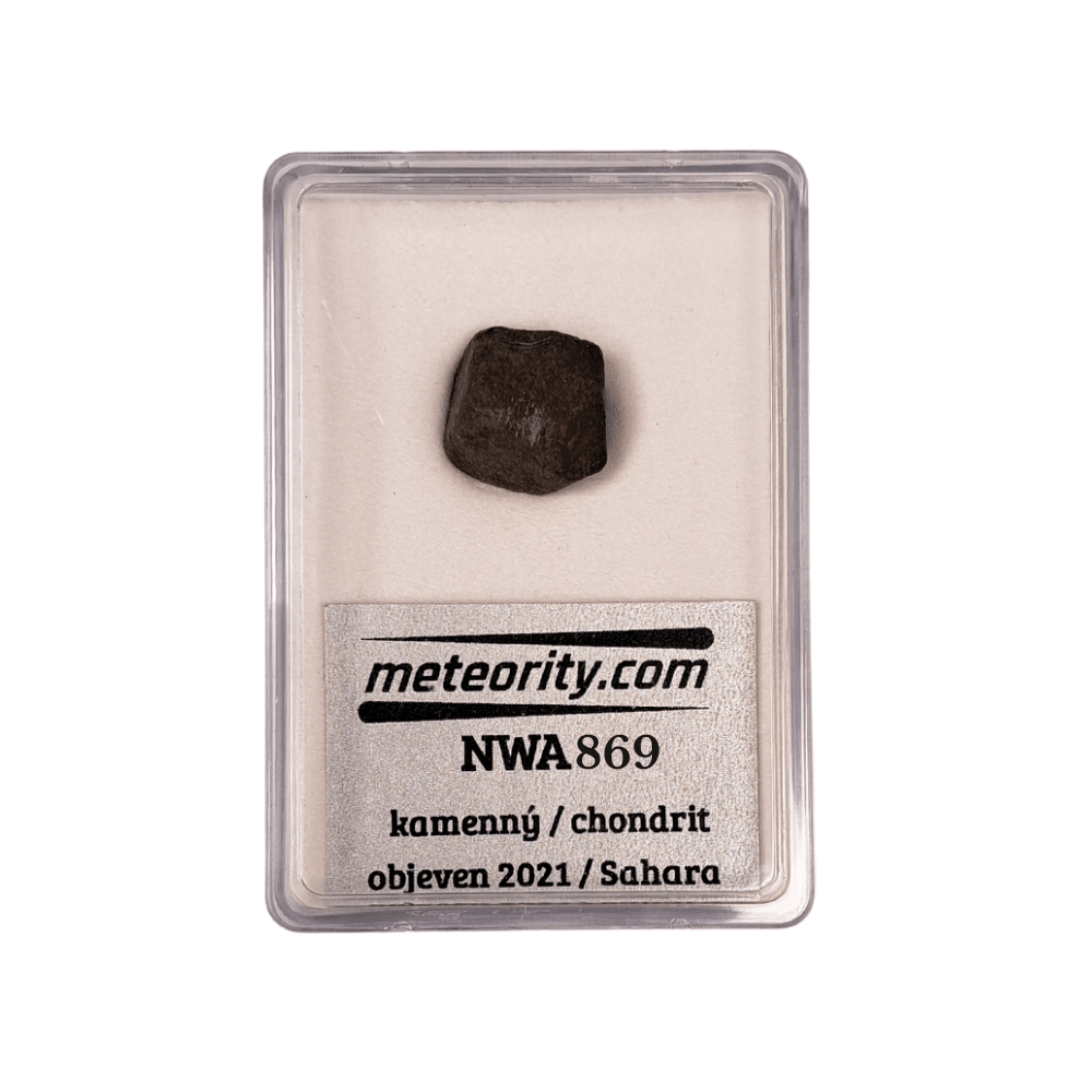 Meteorit NWA 869 - Chondrit