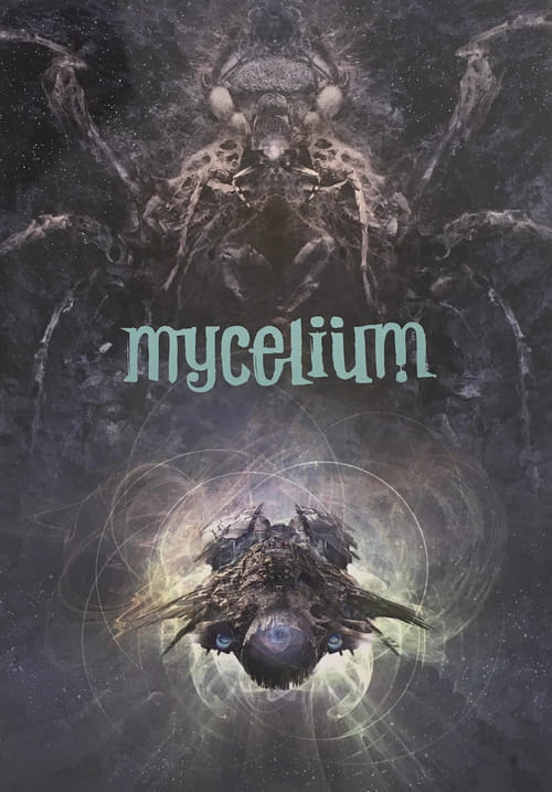 Levně Mycelium VII: Zakázané směry