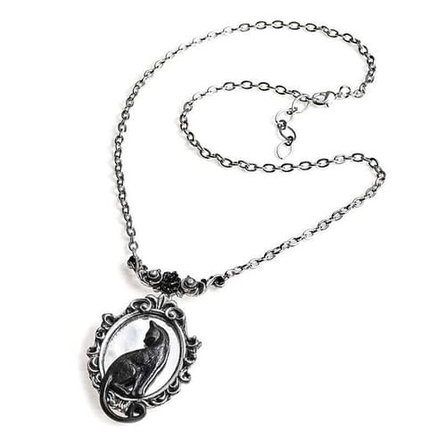 Obrázok Alchemy Gothic Náhrdelník Felicity P895